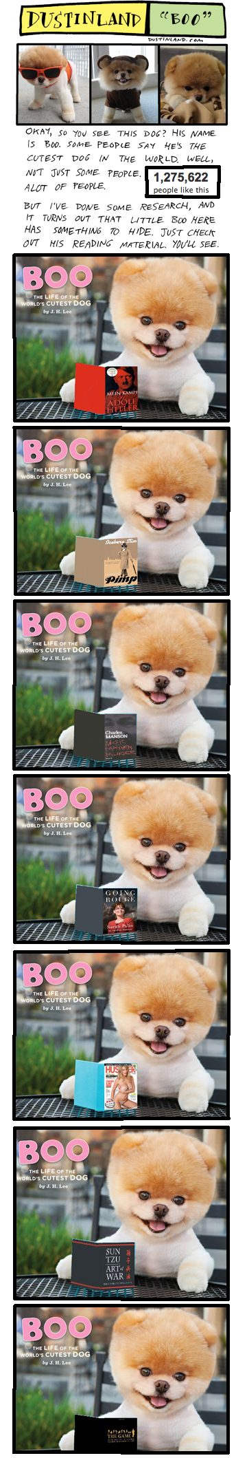 dustinland boo dog